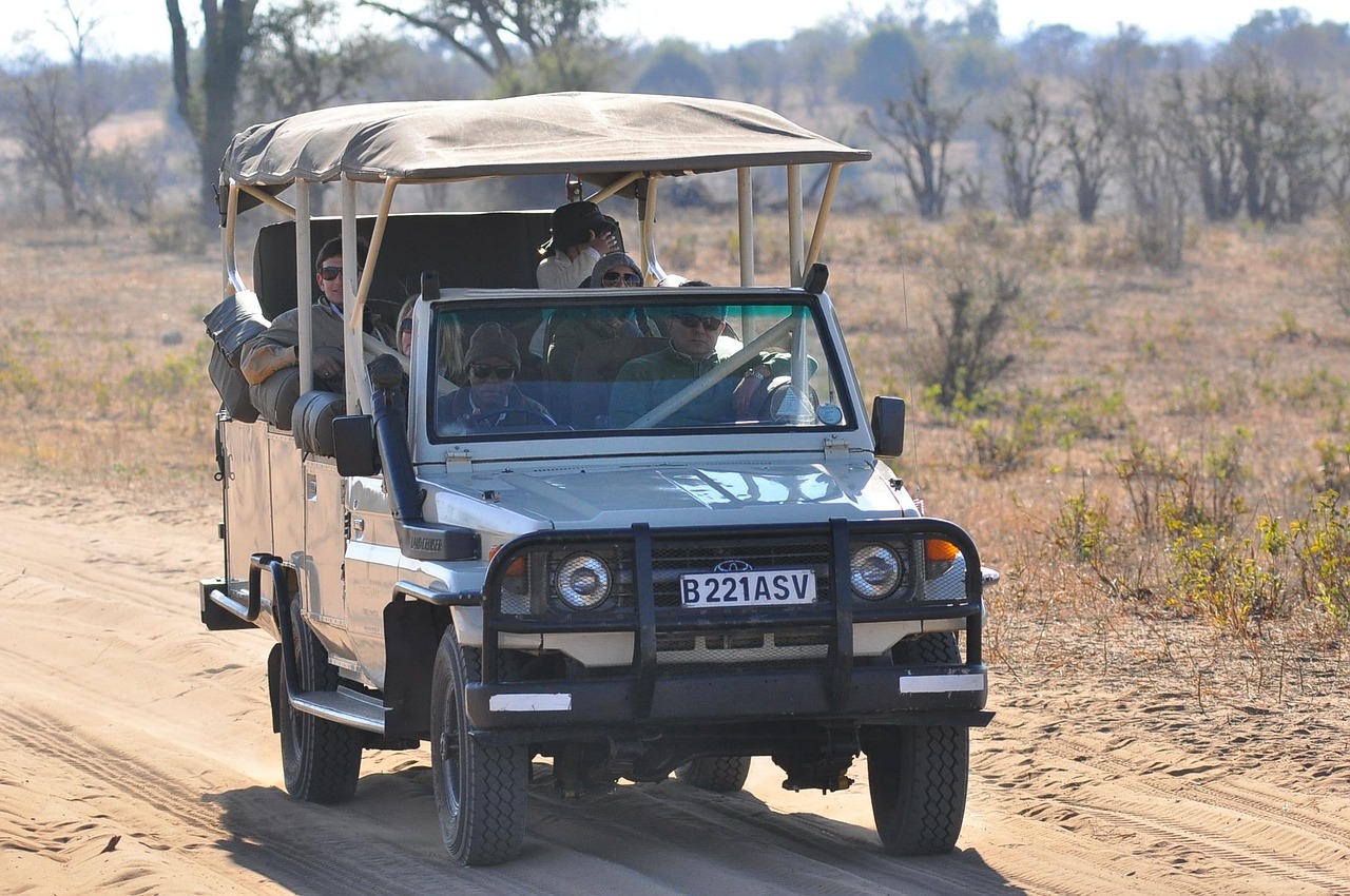 Safari